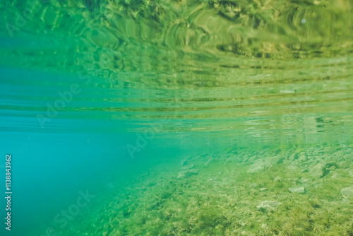 Crystal clear waters reveal a vibrant underwater world, where sunlight dances on a bed of verdant green plants. photo