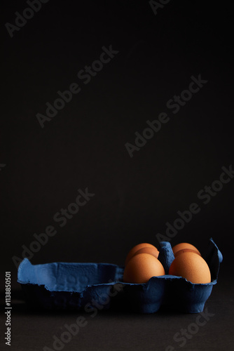 Brown Chicken egg on black background. Packaging. Free space.