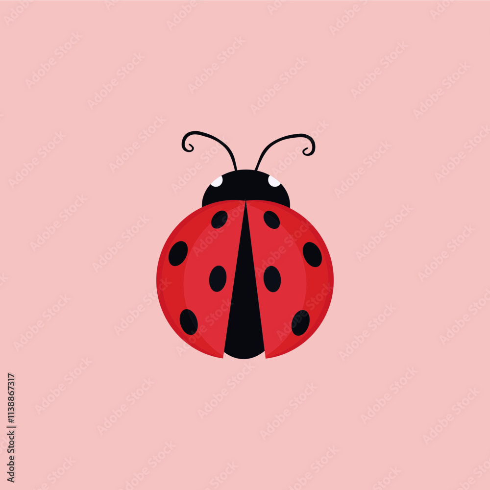 ladybug illustration