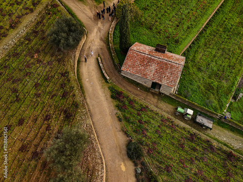 Aerial view of Douro Valley.Terraced vineyards and landscape near Pinhao, Portugal.Portuguese wine region. Beautiful autumn landscape.Concept for travel in Portugal and most beautiful places