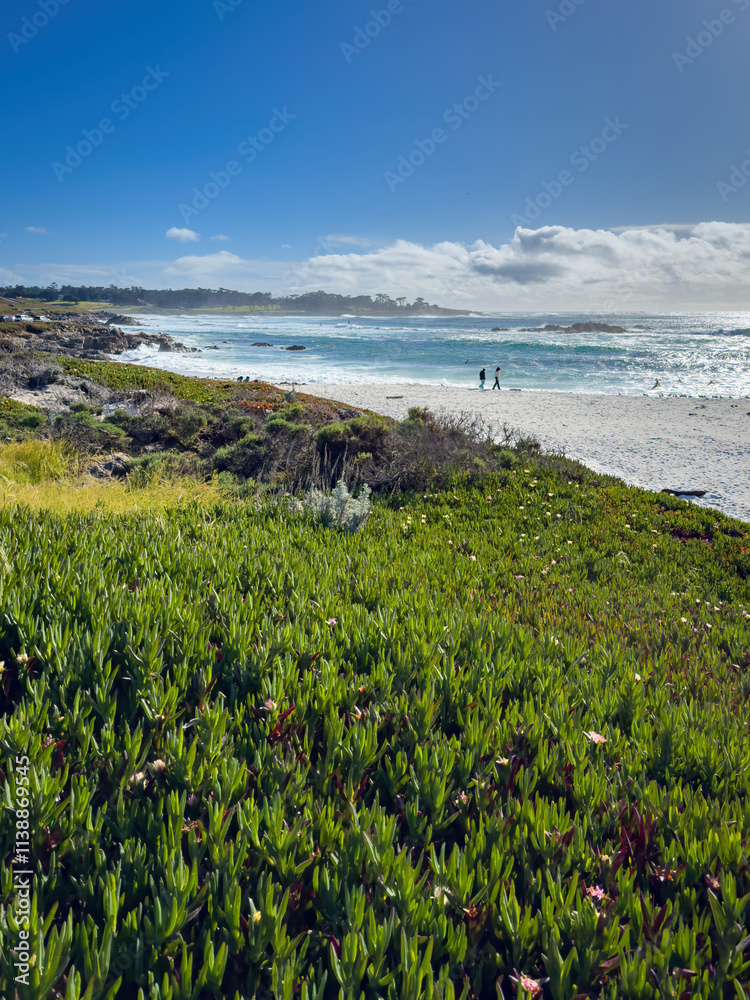 Scenic view of Pacific Ocean at Seal Rock Beach, Del Monte Forest, California, USA against blue sky with clouds