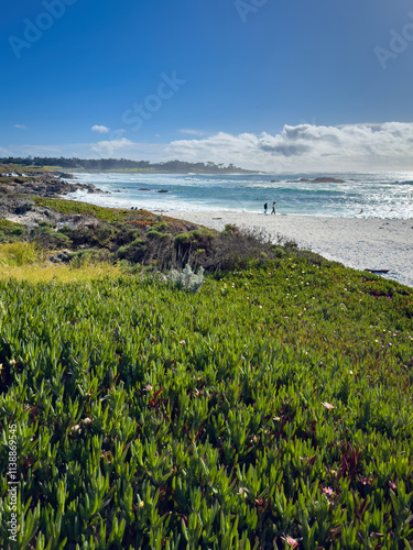 Scenic view of Pacific Ocean at Seal Rock Beach, Del Monte Forest, California, USA against blue sky with clouds