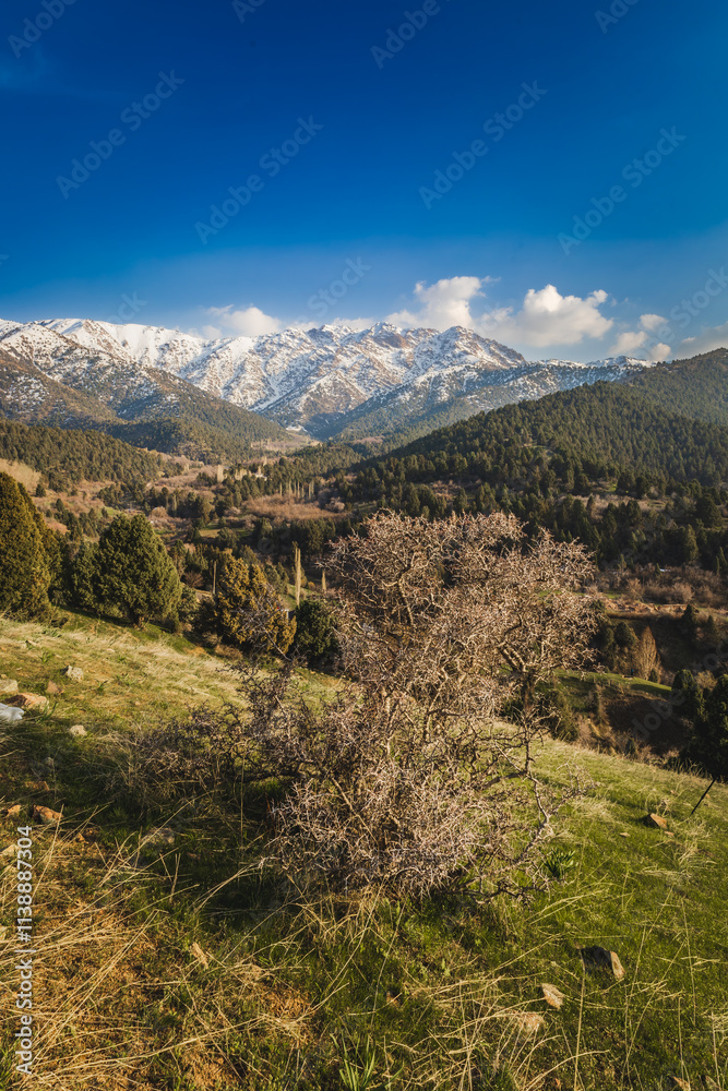Obraz premium Background beautiful landscape with distant mountains