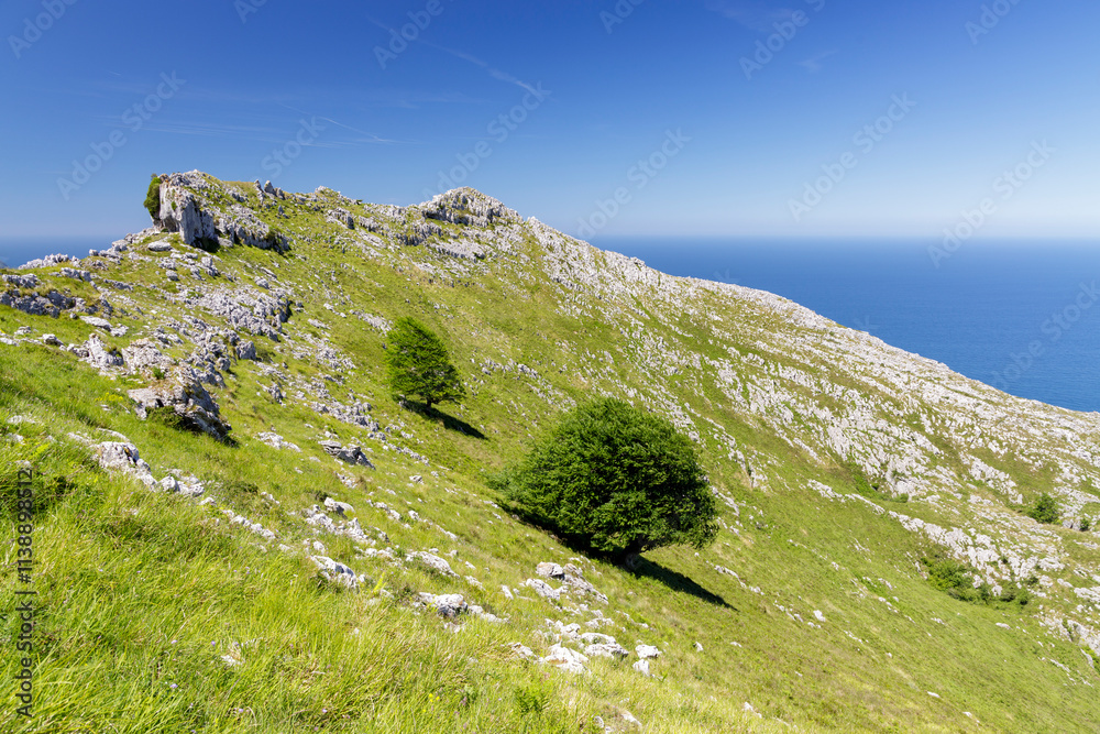 View of the top of the Candino massif in Liendo, Cantabria, north of Spain.