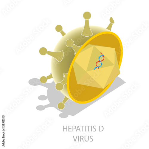 3D Isometric Flat Vector Illustration of Hepatitis Viruses, Liver Disease. Item 2
