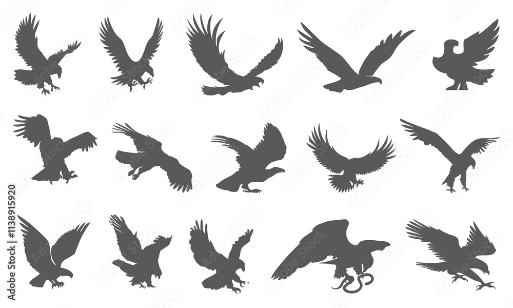 Obraz premium Eagle and bird icon collection