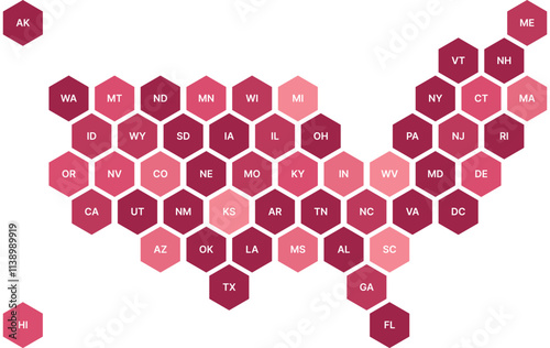 USA map, United States, vector map, infographic, hexagonal shapes, octagonal design, colorful map, geometric map, modern map, state borders, data visualization, editable vector, contemporary design, 
