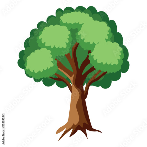 elm tree leaves