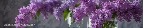 Freshly picked lilac flowers arranged in a glass vase filled with water, arrangement, glass vase