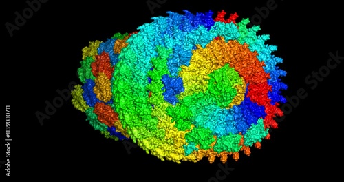 Bacterial flagellar motor-hook complex, molecular machine, 3D molecule in surface format, spinning on X-axis, 4K photo