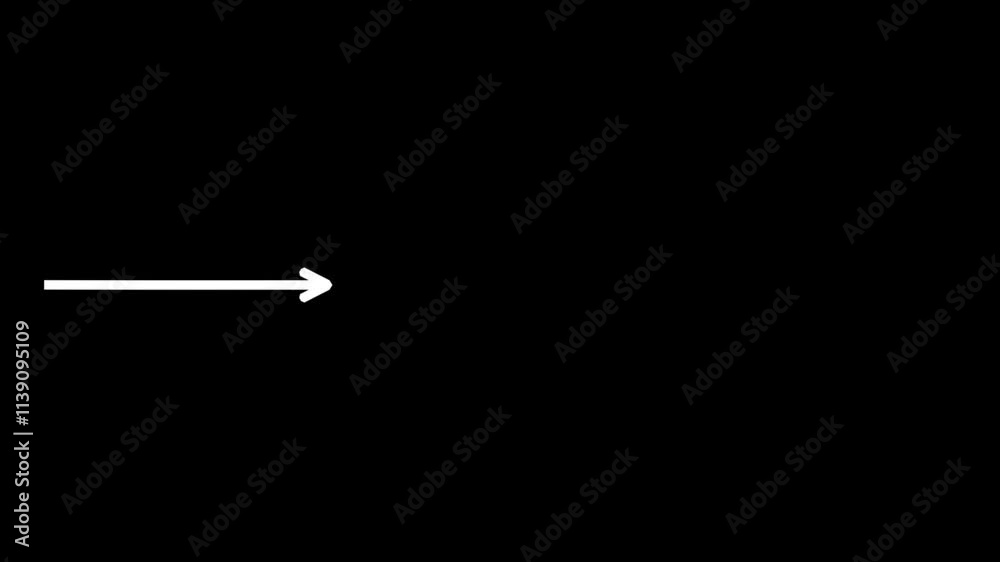 Four arrows in alpha animated pointing right, left, top and bottom - transparent background Four arrows in alpha animated pointing right, left, top and bottom - transparent background