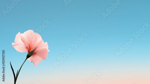 Single pink flower against a blue sky.