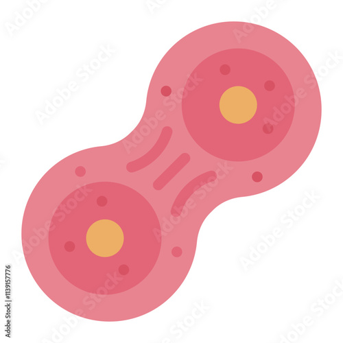 Cell Division Process flat icon mitosis