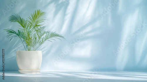 Blurred shadow from palm leaves on the light blue wall.