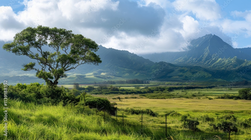 Naklejka premium Hawaiian volcanic landscape 