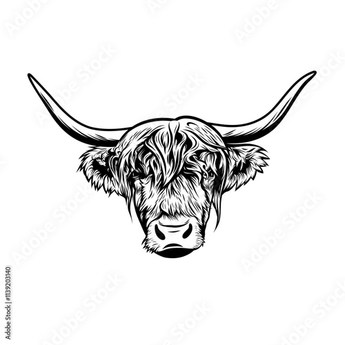 Highland Cow Head