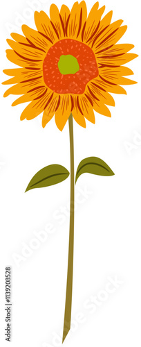 sunflower vector