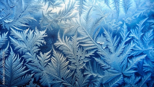 Intricate Frost Patterns on a Windowpane, a Stunning Winter Scene