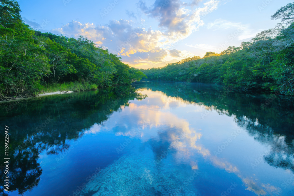 Fototapeta premium Blue sunrise reflections on glassy water surrounded by lush greenery nature landscape tranquil environment