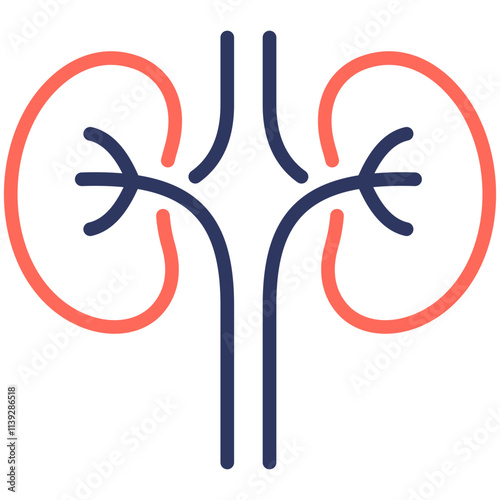 Nephrology Icon