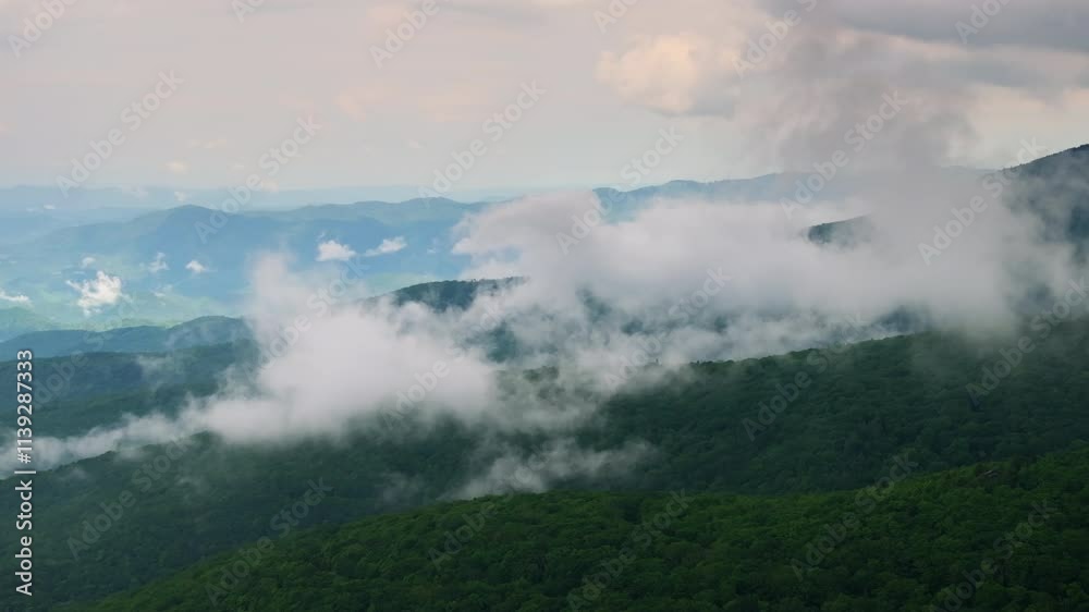Summer forest on Appalachian mountain hills in North Carolina. Summertime landscape of beautiful nature in rainy humid weather Summer forest on Appalachian mountain hills in North Carolina. Summertime landscape of beautiful nature in rainy humid weather