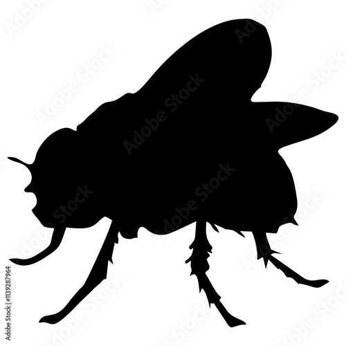 BLACK SILHOUETTE OF A BLACK HOUSEFLY