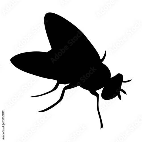 BLACK SILHOUETTE OF A BLACK HOUSEFLY