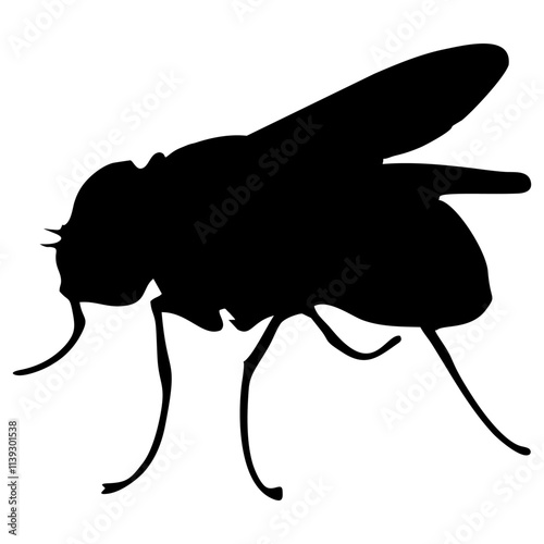 BLACK SILHOUETTE OF A BLACK HOUSEFLY
