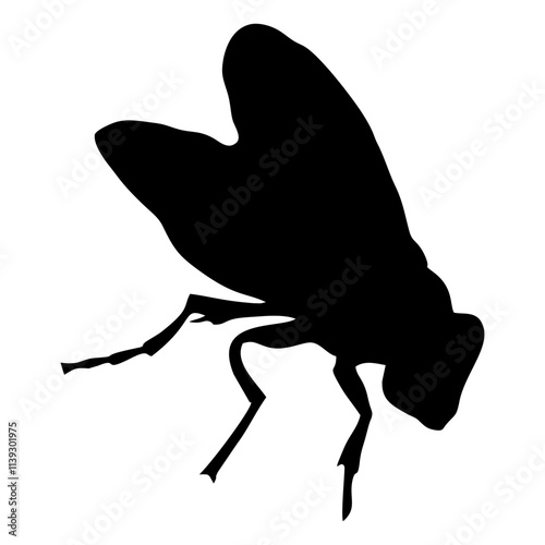 BLACK SILHOUETTE OF A BLACK HOUSEFLY