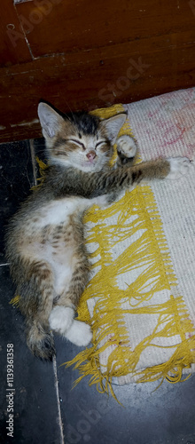 Two kittens sleeping soundly on the carpet