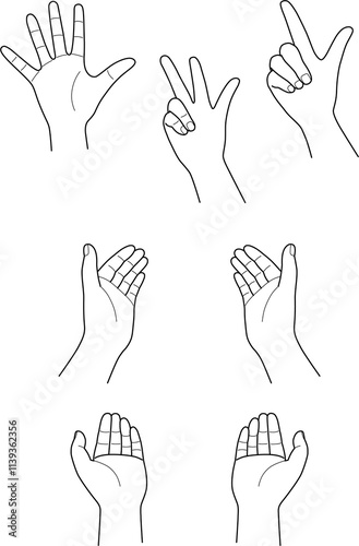 hand_26-30