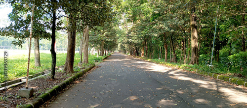 Forest road in the area of ​​the Al-Zaytun Islamic Boarding School, Indonesia