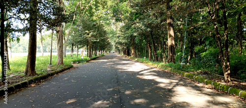 Forest road in the area of ​​the Al-Zaytun Islamic Boarding School, Indonesia