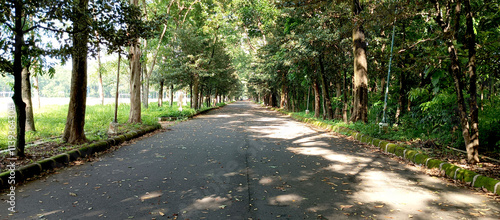 Forest road in the area of ​​the Al-Zaytun Islamic Boarding School, Indonesia
