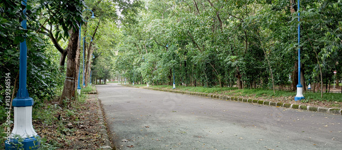 Forest road in the area of ​​the Al-Zaytun Islamic Boarding School, Indonesia