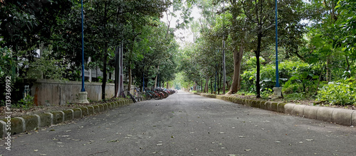 Forest road in the area of ​​the Al-Zaytun Islamic Boarding School, Indonesia