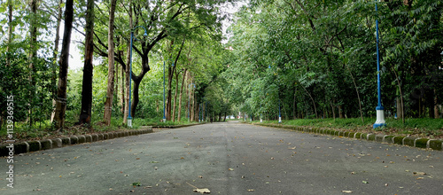 Forest road in the area of ​​the Al-Zaytun Islamic Boarding School, Indonesia
