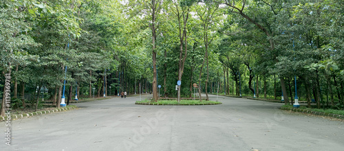 Forest road in the area of ​​the Al-Zaytun Islamic Boarding School, Indonesia