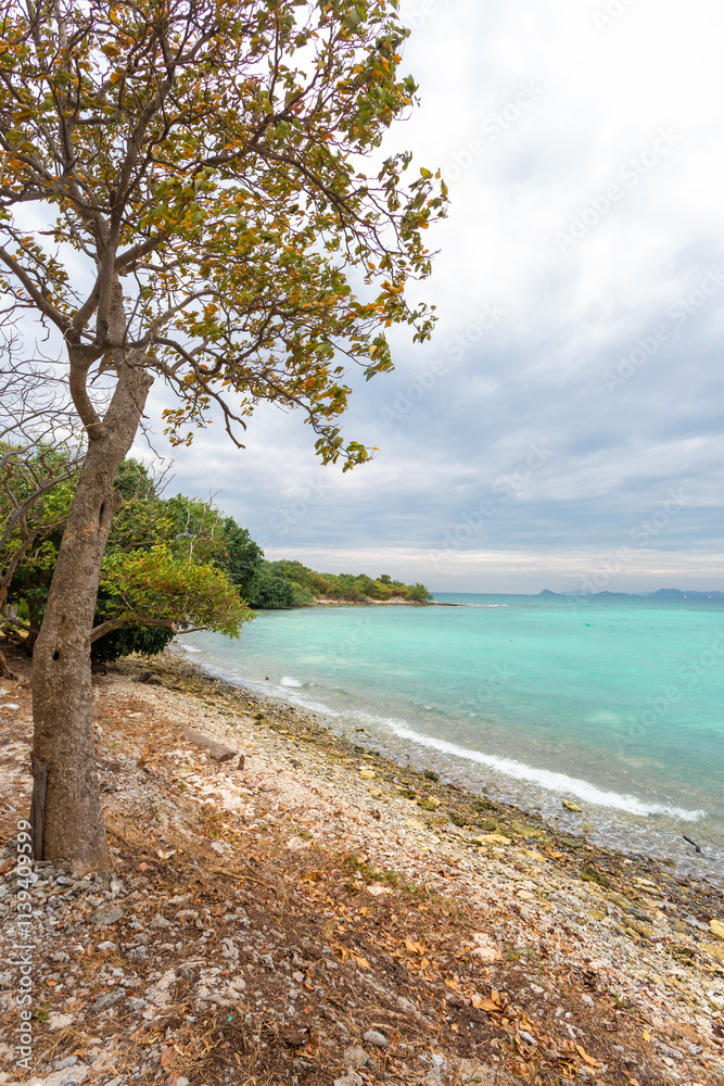 Koh Kham, Sattahip, an ecotourism destination, welcomes tourists who want to dive and see coral reefs and natural plants along the ecotourism route. In addition, there is a clean white sand beach. Koh Kham, Sattahip, an ecotourism destination, welcomes tourists who want to dive and see coral reefs and natural plants along the ecotourism route. In addition, there is a clean white sand beach.