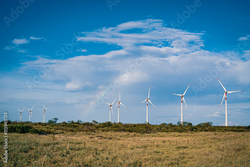 wind turbines farm