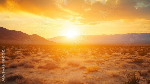 Desert Landscape with Golden Sunset and Distant Mountains