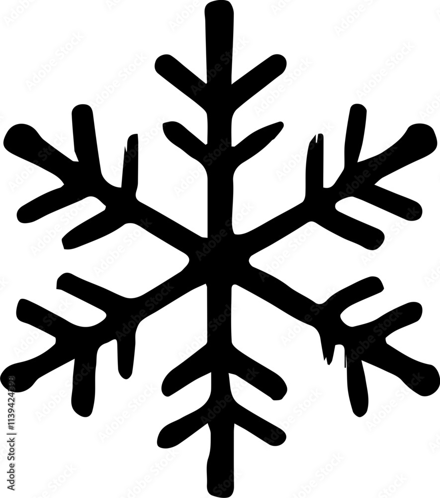 Obraz premium snowflake