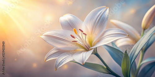 close up shot of pale seashell lily, showcasing its delicate petals and vibrant stamens, illuminated by soft sunlight, creating serene and tranquil atmosphere