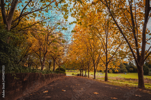 Fagan Park is a large recreational area located in Galston, a semi-rural area in Sydney, New South Wales, Australia. 