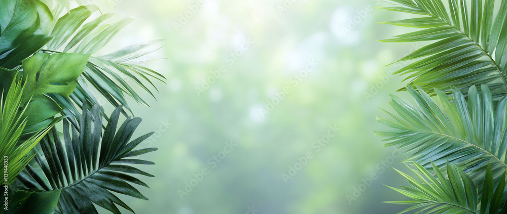 Obraz premium Lush green foliage with a soft blurred background.