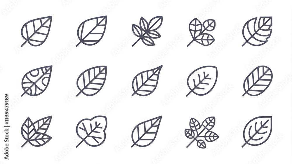 set of line leaf icons set of line leaf icons
