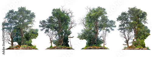 Big set of The Trees with vines around them, dead trees with dry branches, beautiful Stone and flowers on the ground, isolated on a white background with clipping paths.
