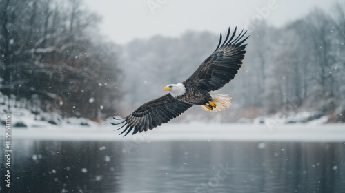 Majestic bald eagle in flight over a snowy winter landscape. photo