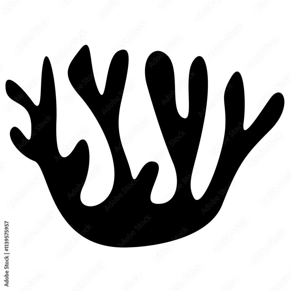 Obraz premium Corals