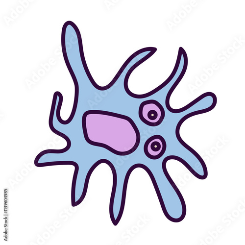 dendritic cell